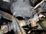 LEB Number 101, Undeniably corroded