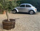 LEB Number 177, Amidst the olive groves