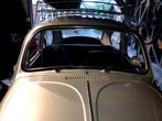 LEB Number 204, Chrome piping around windscreen
