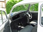 LEB Registration UUU 173S, Interior