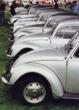 VW Motoring Beetle Collection 2 - Summer 1994, Tatton Park lineup